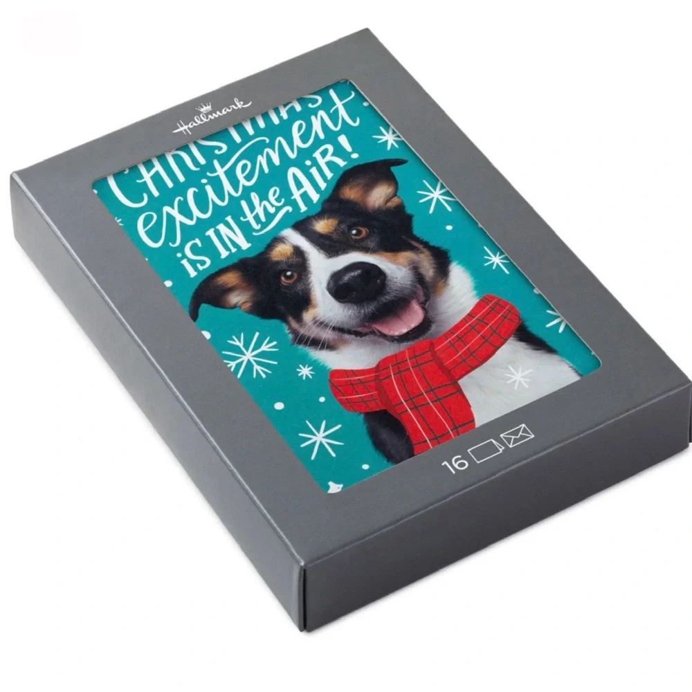 Hallmark “Christmas Excitement is in the Air!” Boxed Christmas Cards, Pack of 16